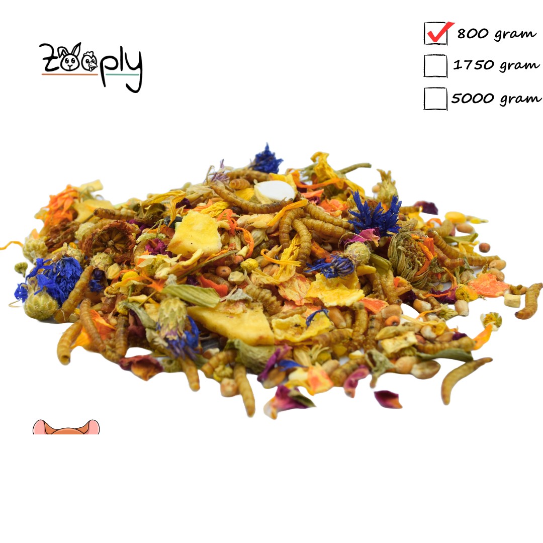 Zooply Dwerghamstervoer - Speciale voeding voor dwerghamsters - Verpakt in emmer - 1 kg