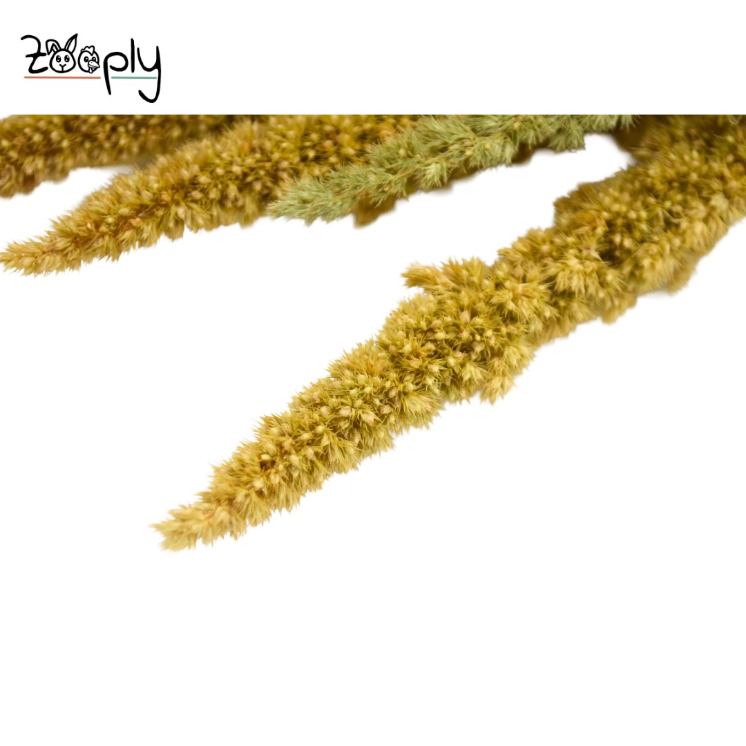 Zooply amarant groen – gedroogde bloemen en grassen voor hamsters en andere knaagdieren – 70 gram