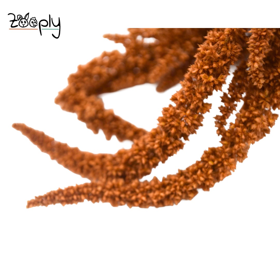 Zooply amarant oranje – gedroogde bloemen en grassen voor hamsters en andere knaagdieren – 70 gram