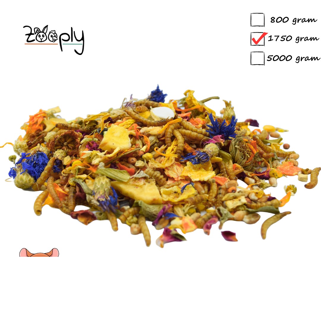 Zooply Dwerghamstervoer - Speciale voeding voor dwerghamsters - Verpakt in emmer - 2,5 kg