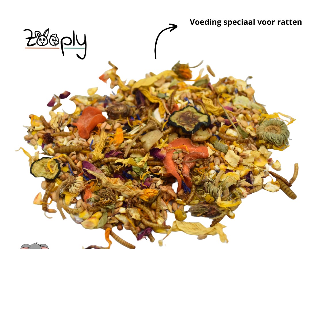 Zooply Rattenvoer - Speciale voeding voor ratten - Verpakt in emmer - 1 kg