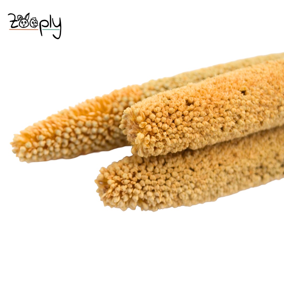 Zooply babala – gedroogde bloemen en grassen voor hamsters en andere knaagdieren – 5 stuks