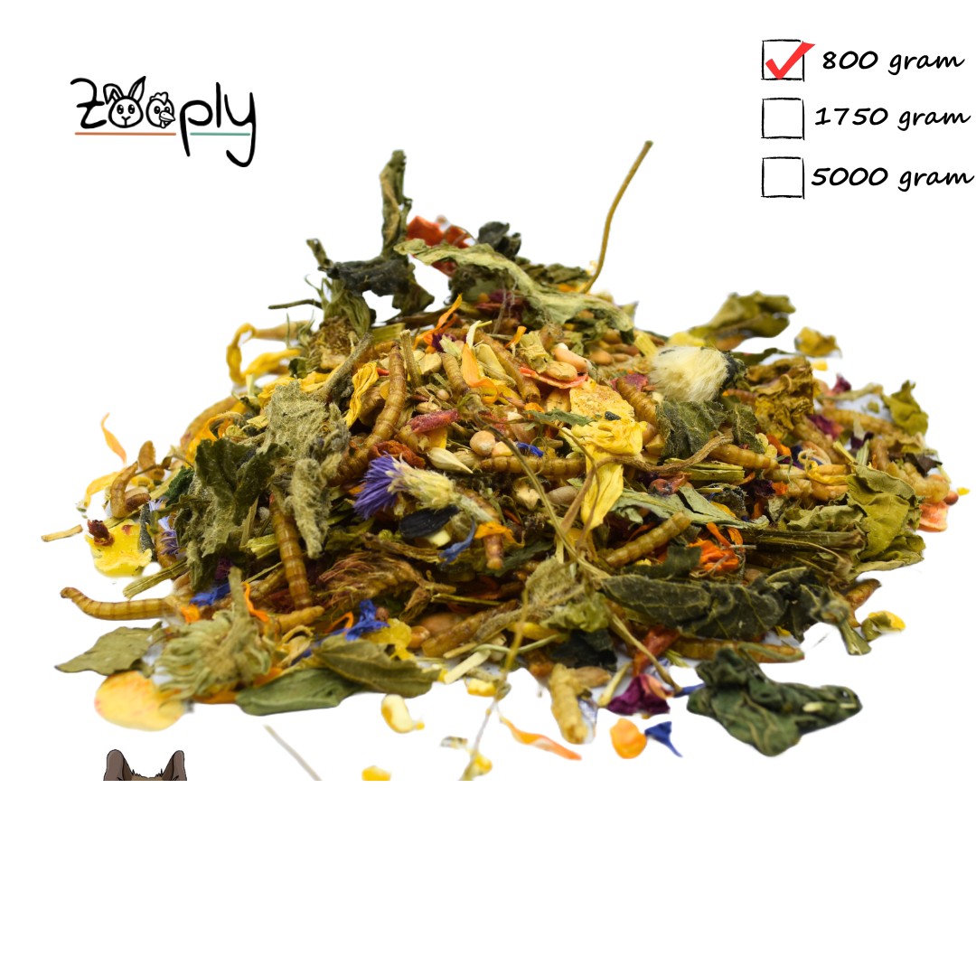 Zooply Degoevoer - Speciale voeding voor goudhamsters - Verpakt in emmer - 1750 gram