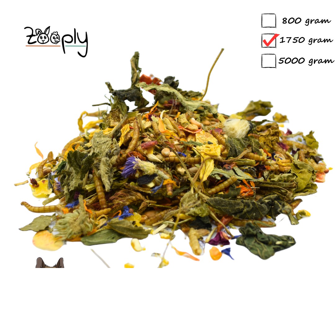 Zooply Degoevoer - Speciale voeding voor goudhamsters - Verpakt in emmer - 1750 gram