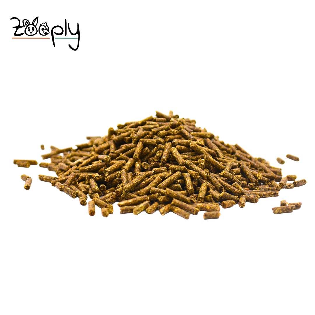 Zooply Caviavoer - Hoge kwaliteit caviavoer met vitamine C - In plastic zak verpakt - 10 kg
