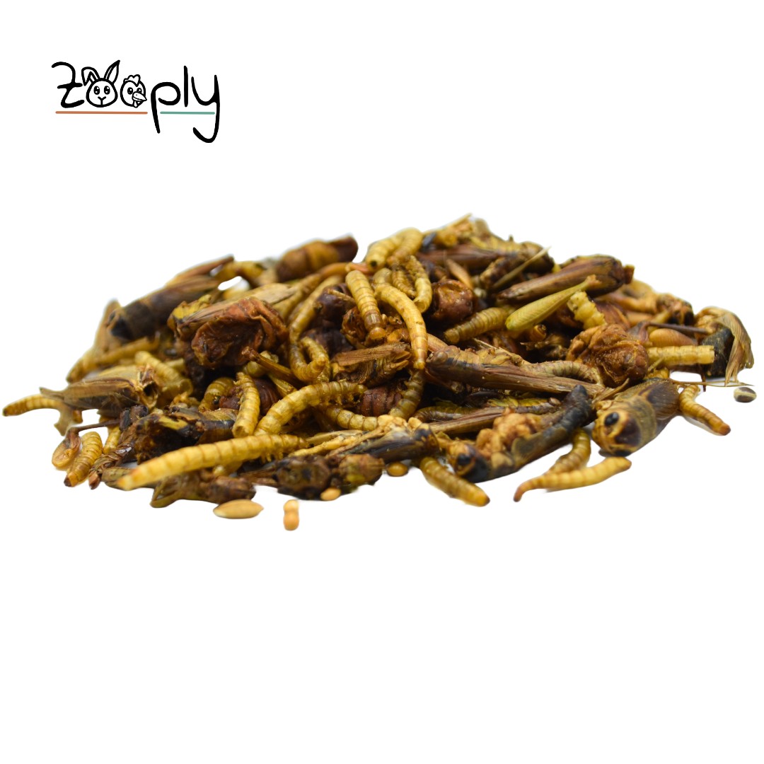 Zooply Insectenmix 100 gram - Gedroogde insecten voor hamsters, ratten en andere knaagdieren - Gezonde snack