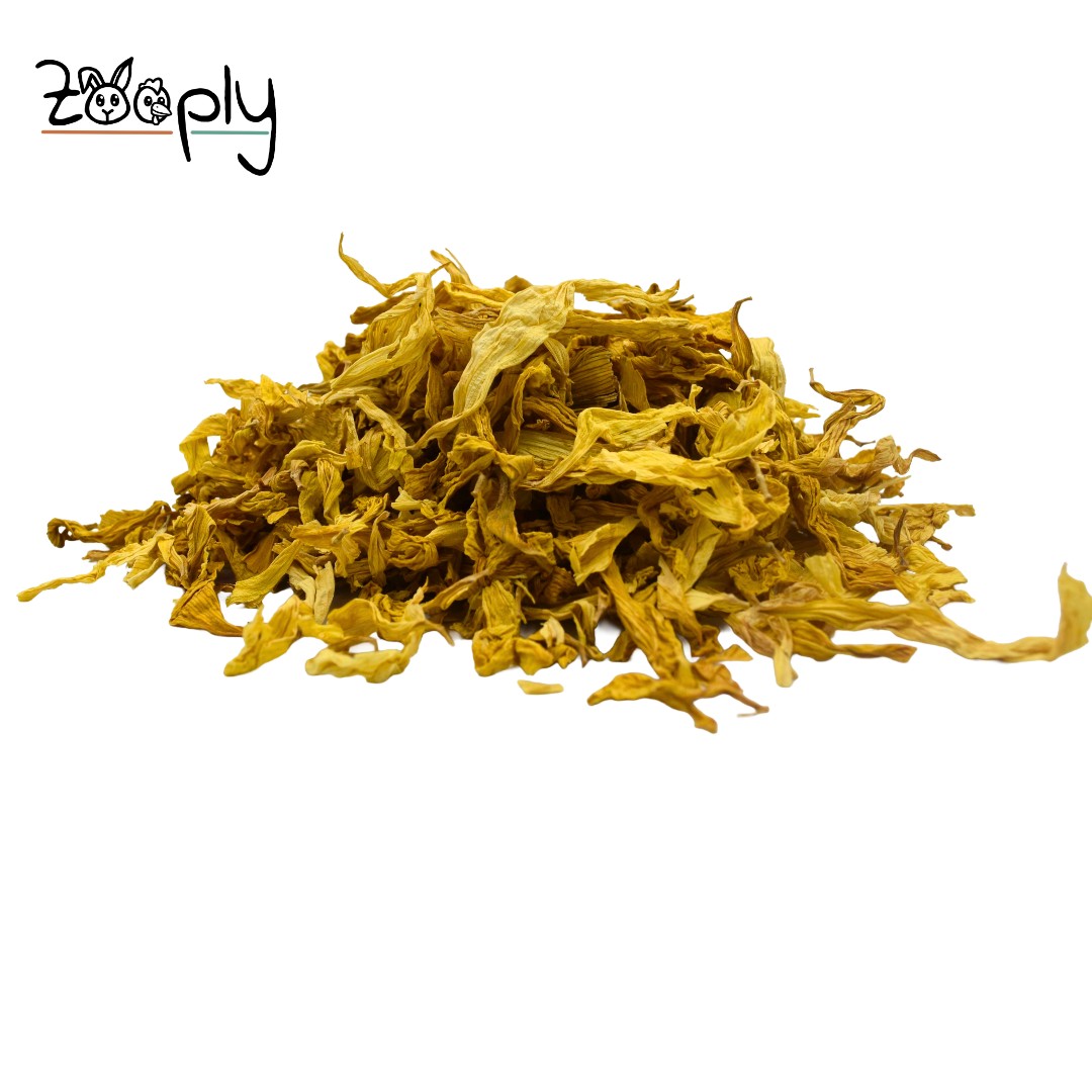 Zooply Zonnebloemblaadjes - Gedroogde bloemen voor konijnen en knaagdieren - Gezonde snack - 150 gram