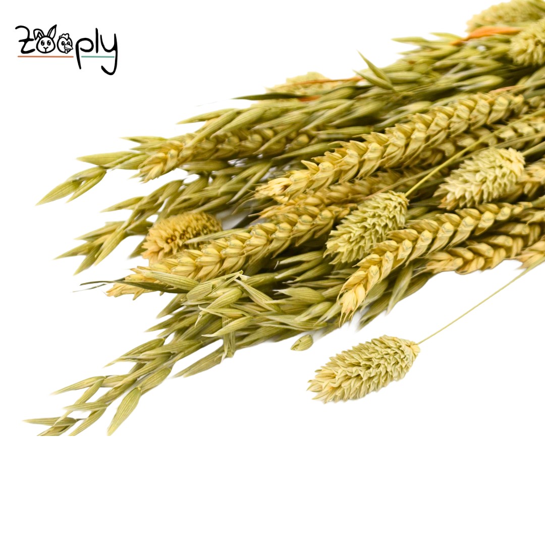 Weidegras boeket - 100 gram