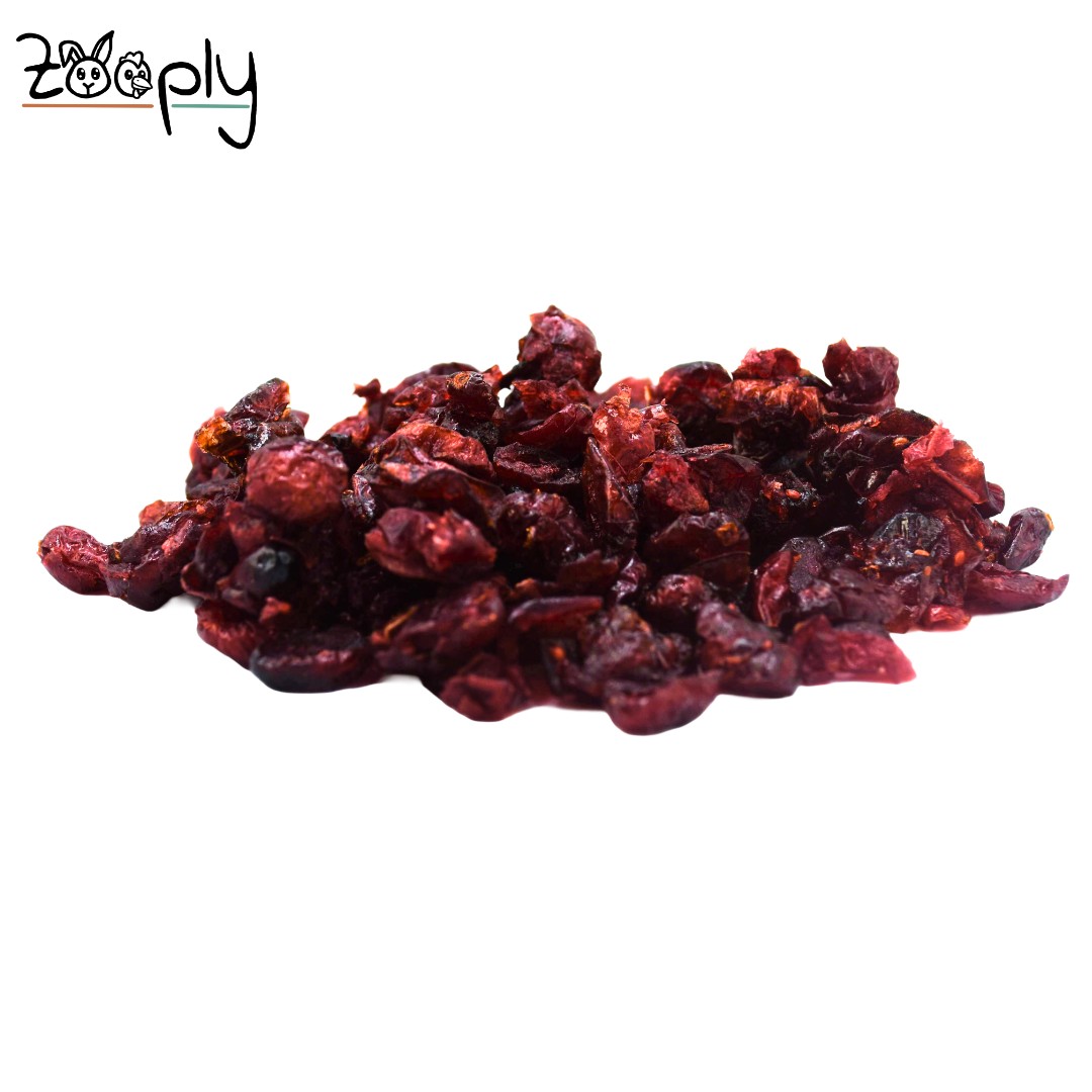 Zooply Cranberry - Gedroogd fruit voor konijnen en knaagdieren - Gezonde snack