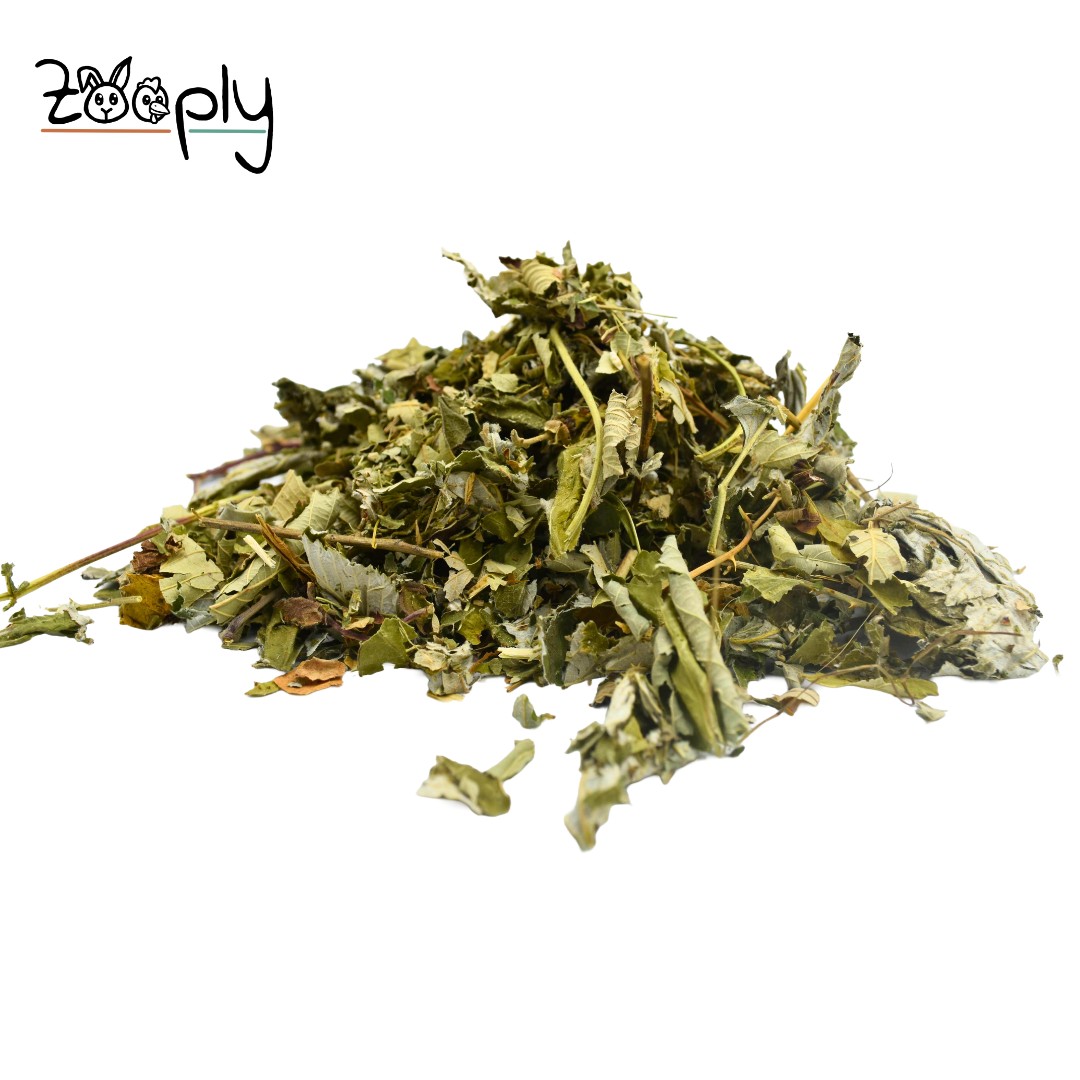 Zooply Frambozenblad - Gedroogd(e) blad voor konijnen, cavia's en knaagdieren - 350 gram