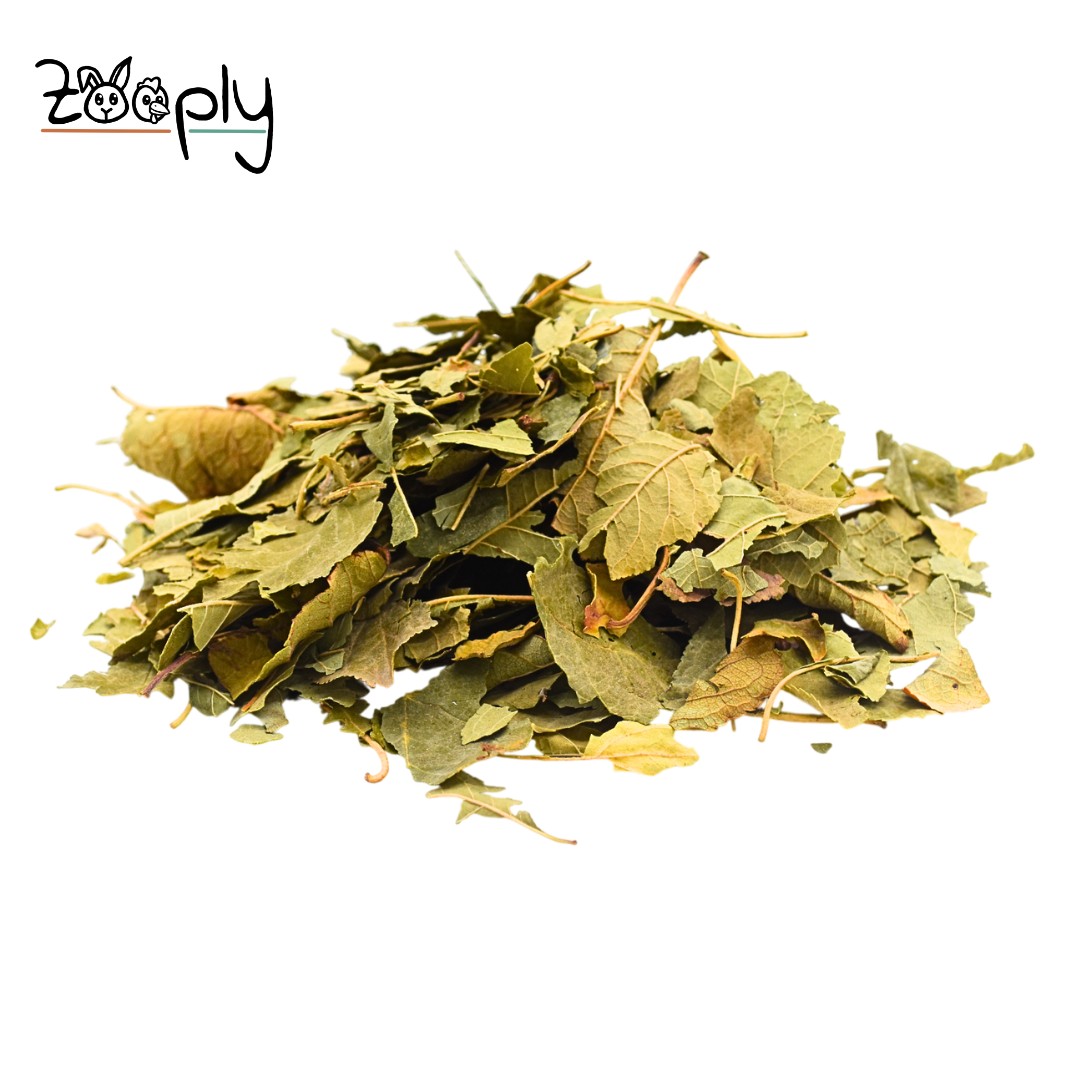 Zooply Pruimenblad - Gedroogd(e) blad voor konijnen, cavia's en knaagdieren - 350 gram