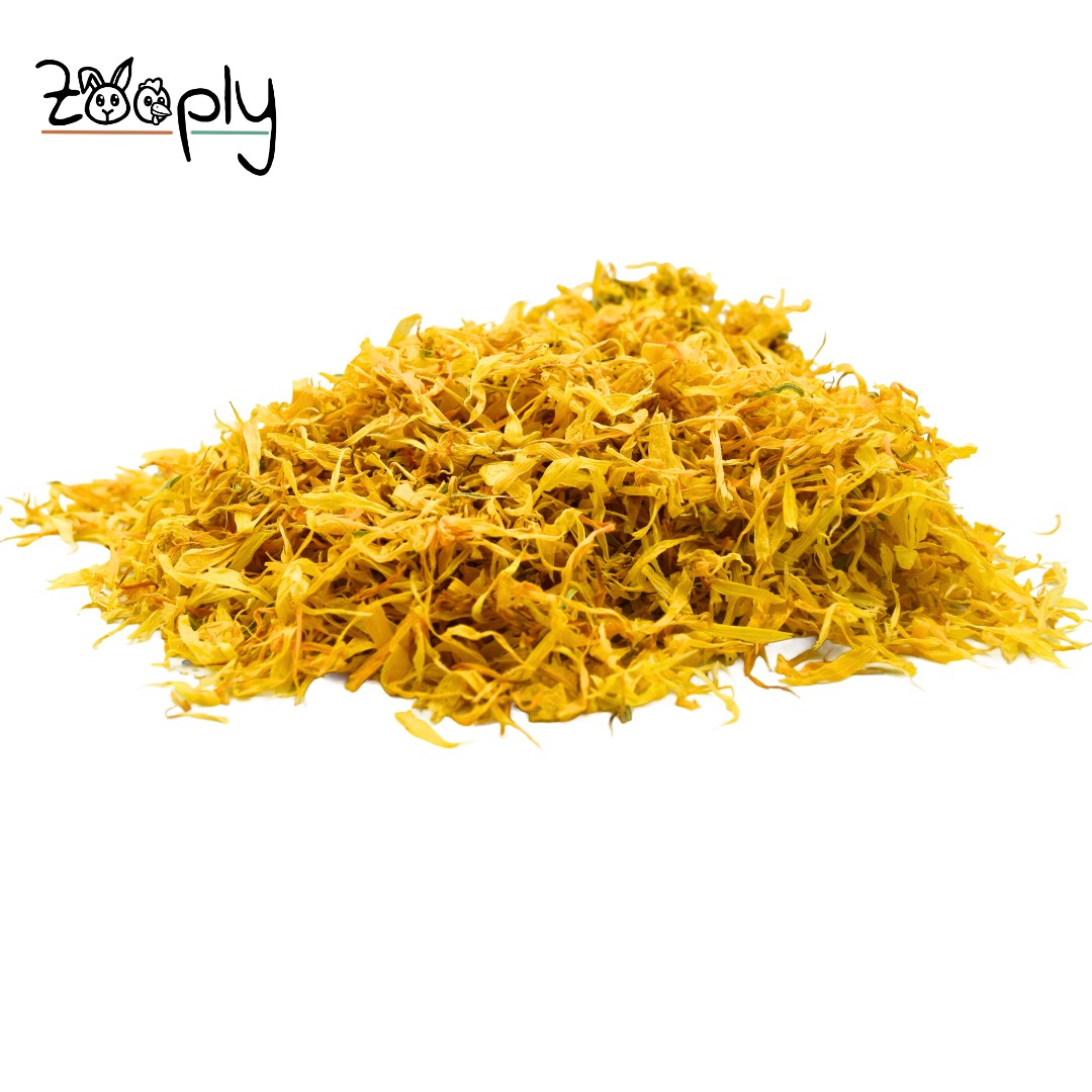 Zooply Goudsbloemblaadjes - Gedroogde bloemen voor konijnen en knaagdieren - Gezonde snack - 100 gram