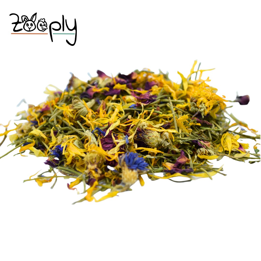 Zooply Weidebloemmix - Verschillende gedroogde bloemen voor konijnen en knaagdieren - Gezonde snack