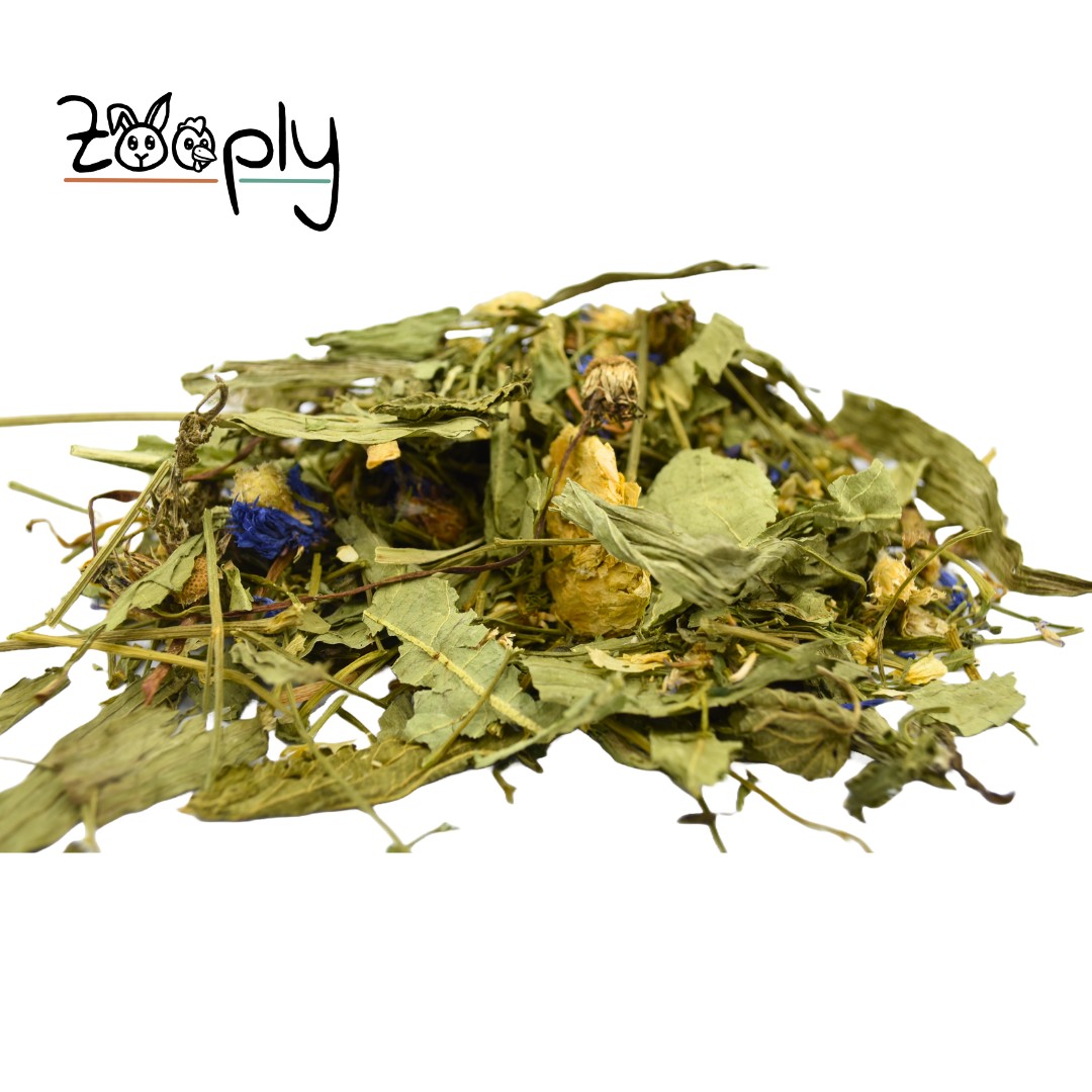 Zooply Weideveld Mix - Mix van kruiden en bloemen voor konijnen, cavia's en knaagdieren - 400 gram