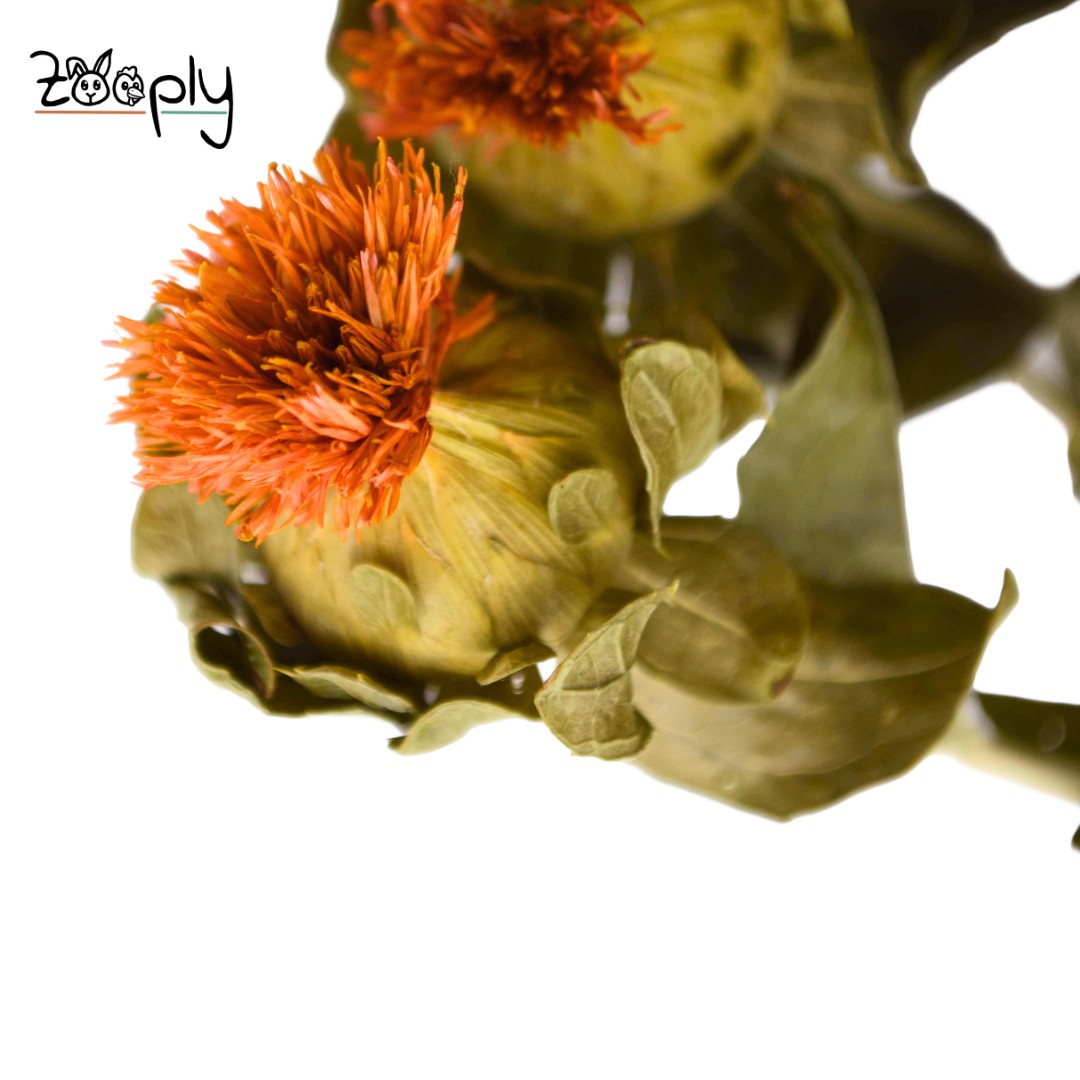 Zooply muurbloem – gedroogde bloemen en grassen voor hamsters en andere knaagdieren – 70 gram