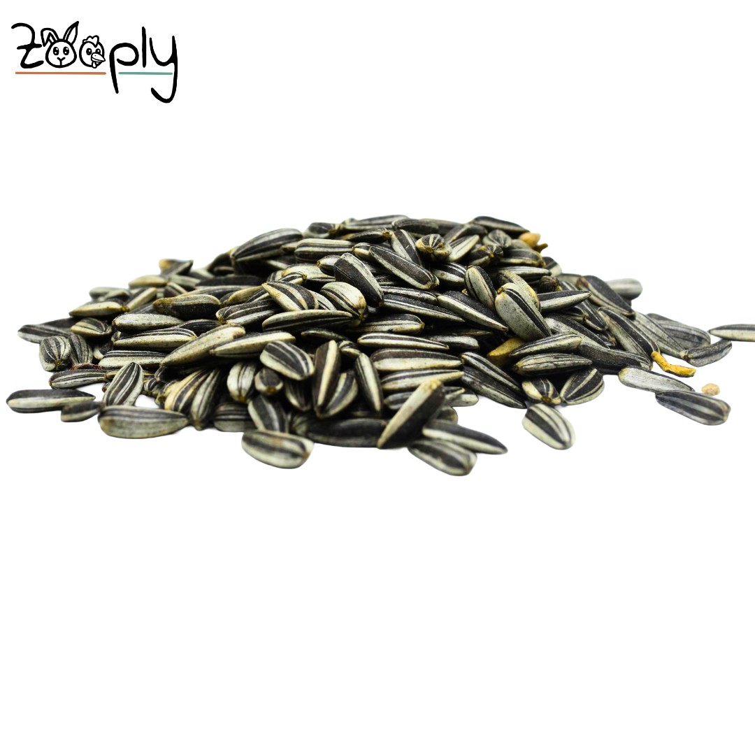 Zooply Zonnebloempitten - 200 gram - Gedroogde zaden voor knaagdieren - Gezonde snack