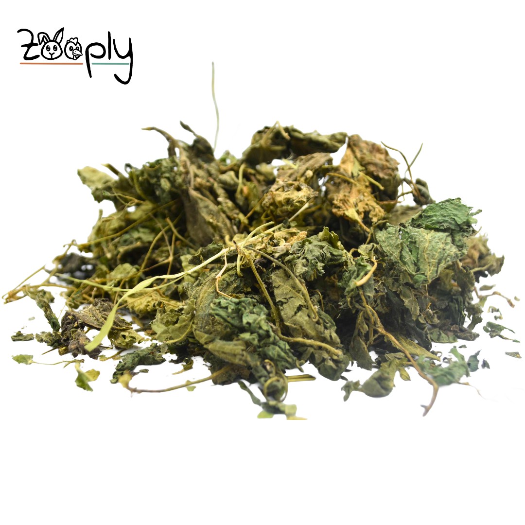 Zooply Brandnetelblad - Gedroogd(e) blad voor konijnen, cavia's en knaagdieren - 350 gram