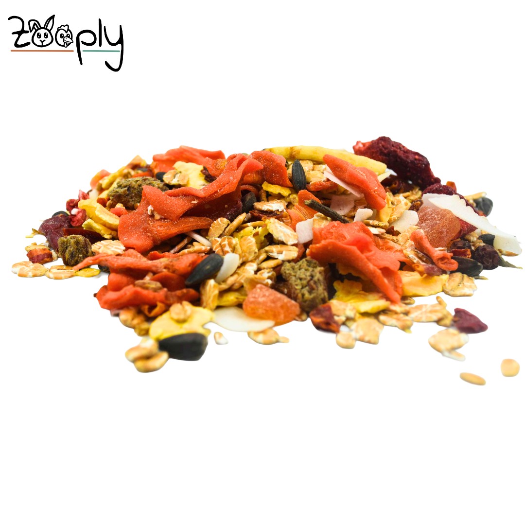 Zooply Zomermix Snack voor konijnen, cavia’s en kleine knaagdieren – natuurlijke snack – 350 gram
