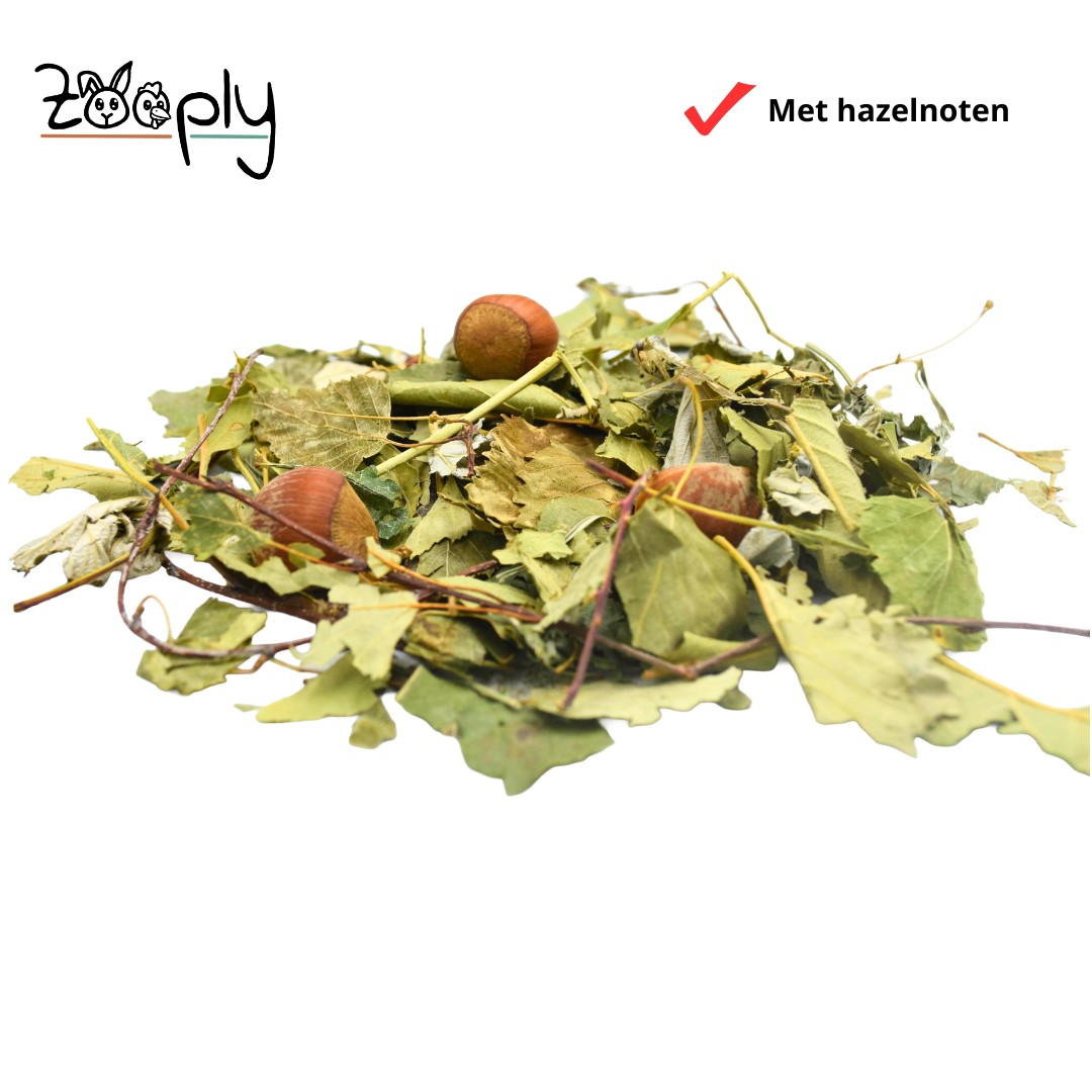 Bosmix met verschillende bladeren en hazelnoten – Mix voor hamsterscaping – Speciaal voor knaagdieren - 100 gram