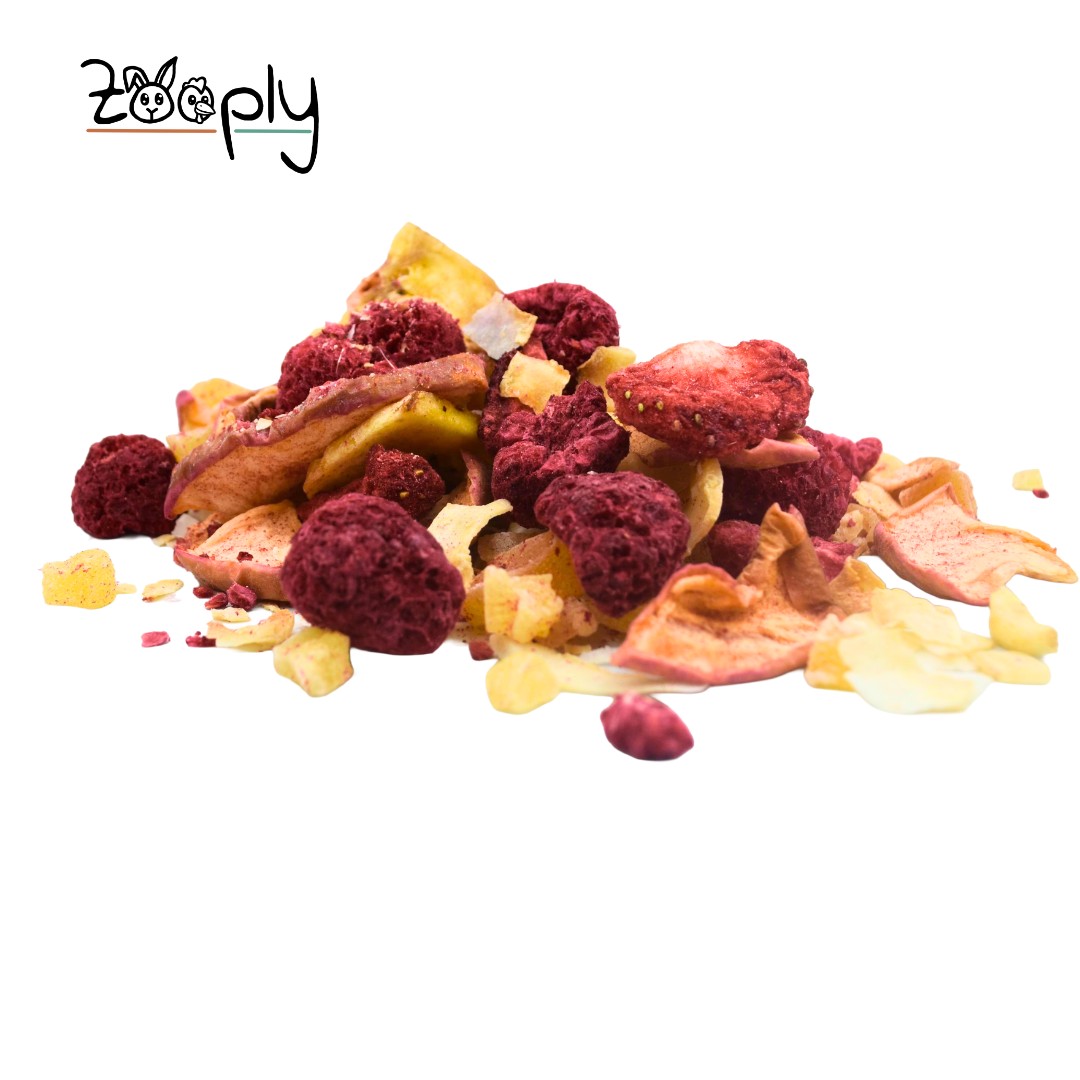 Zooply Fruitmix - Gedroogd fruit voor konijnen en knaagdieren - Gezonde snack