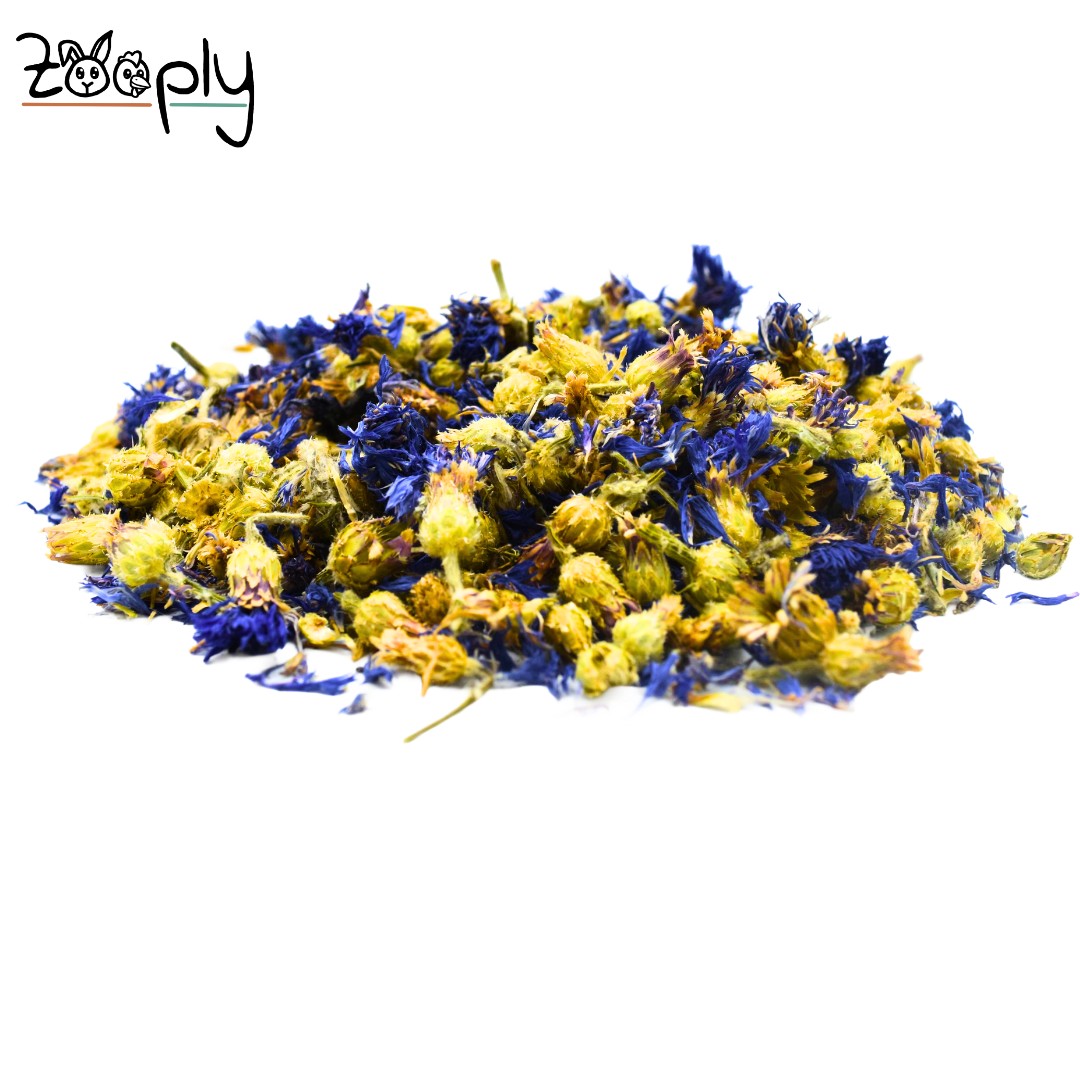 Zooply Blauwe korenbloem - Gedroogde bloemen voor konijnen en knaagdieren - Gezonde snack