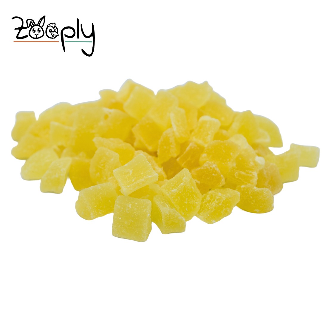 Zooply Ananas - Gedroogd fruit voor konijnen en knaagdieren - Gezonde snack