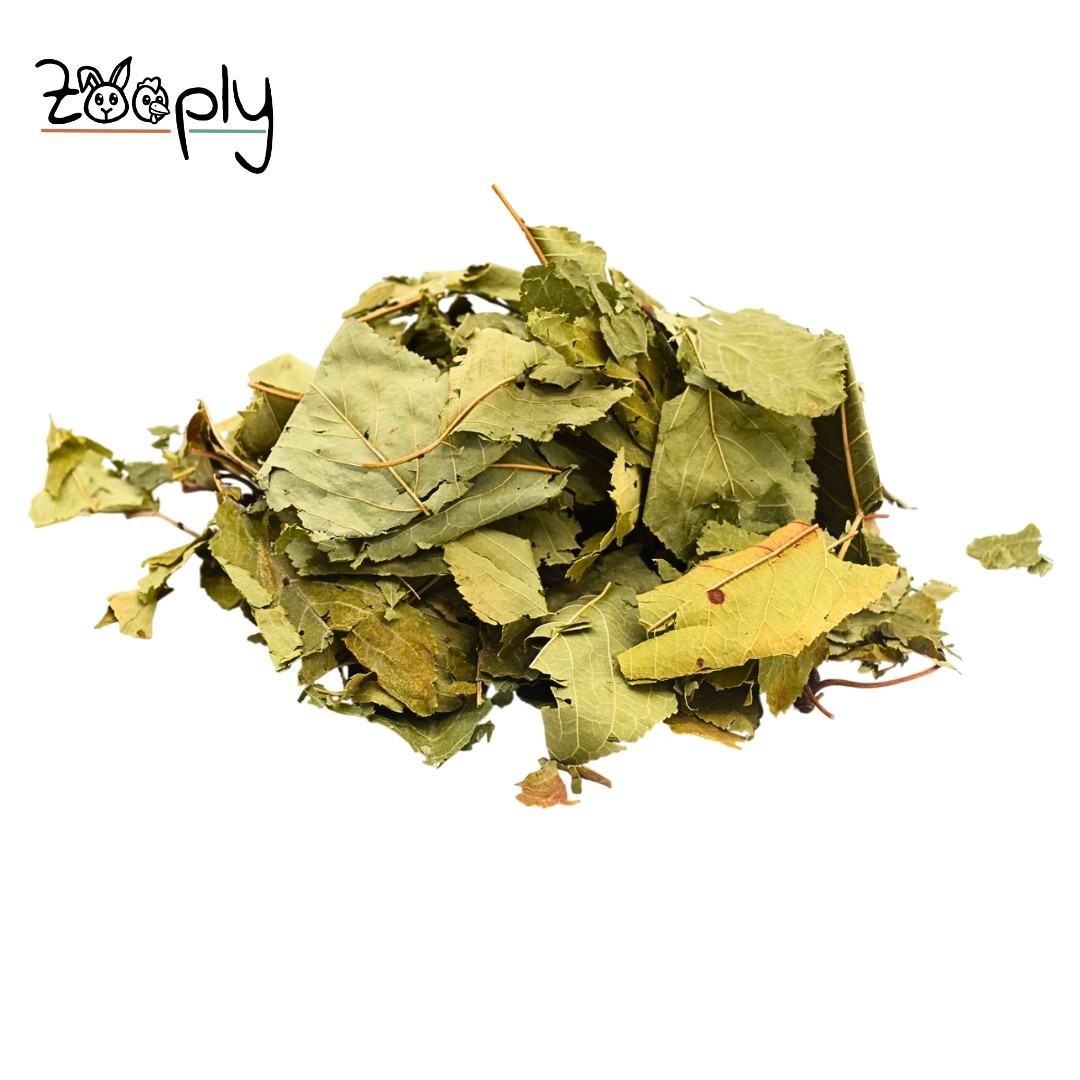 Zooply Kersenblad - Gedroogd(e) blad voor konijnen, cavia's en knaagdieren - 300 gram