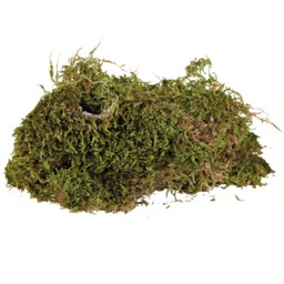 Knaagdiermos – Gedroogd mos voor knaagdieren - Perfect voor scapings - 250 gram