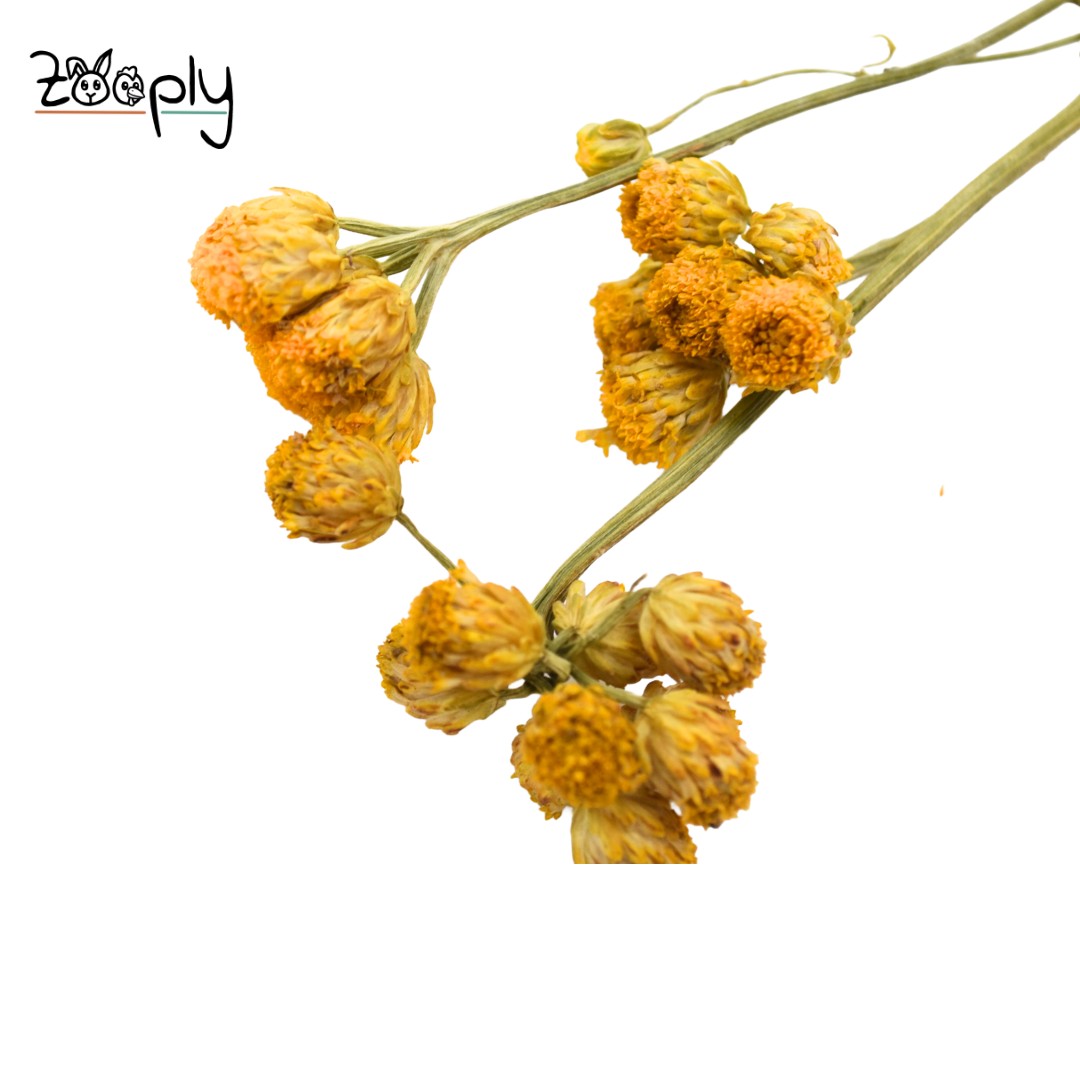 Gele Ageratum - 70 gram