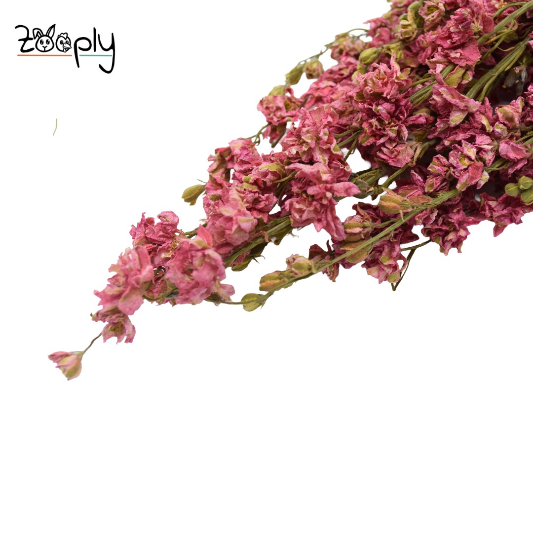 Ridderspoor Roze - 70 gram