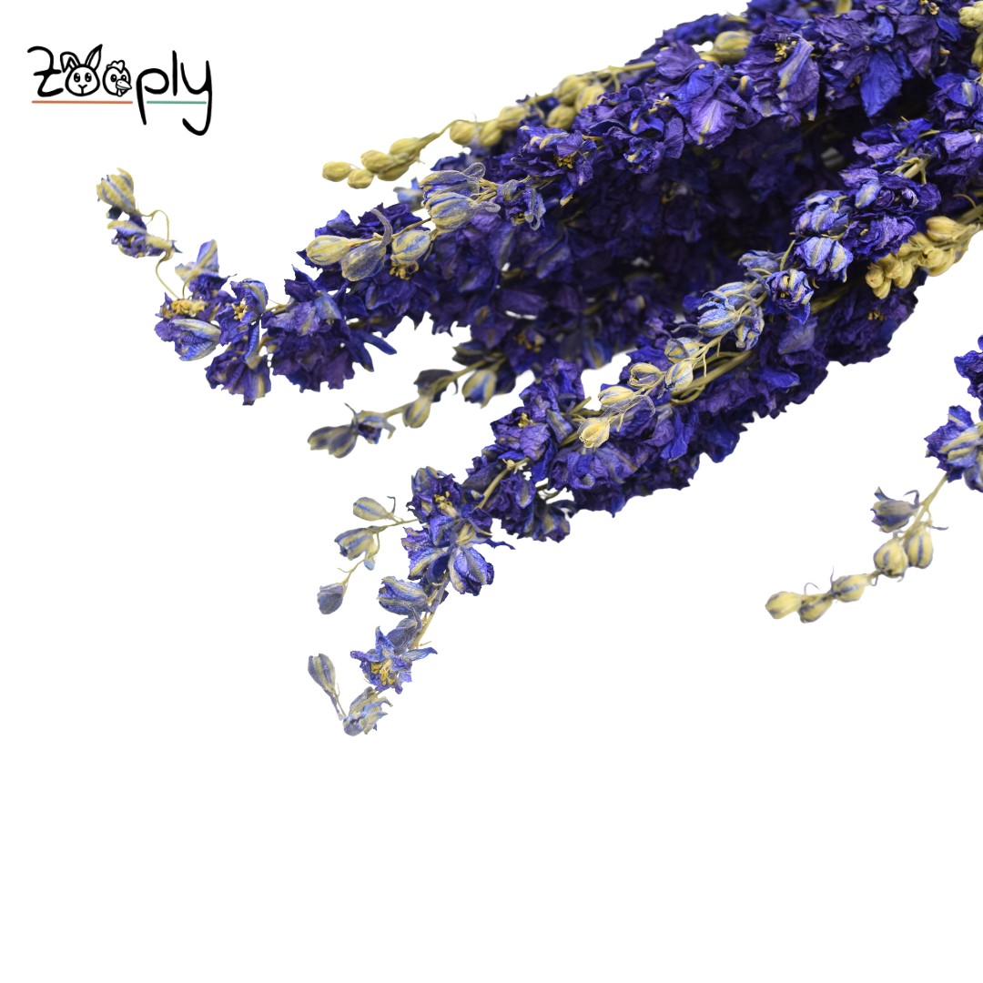 Ridderspoor Blauw - 70 gram