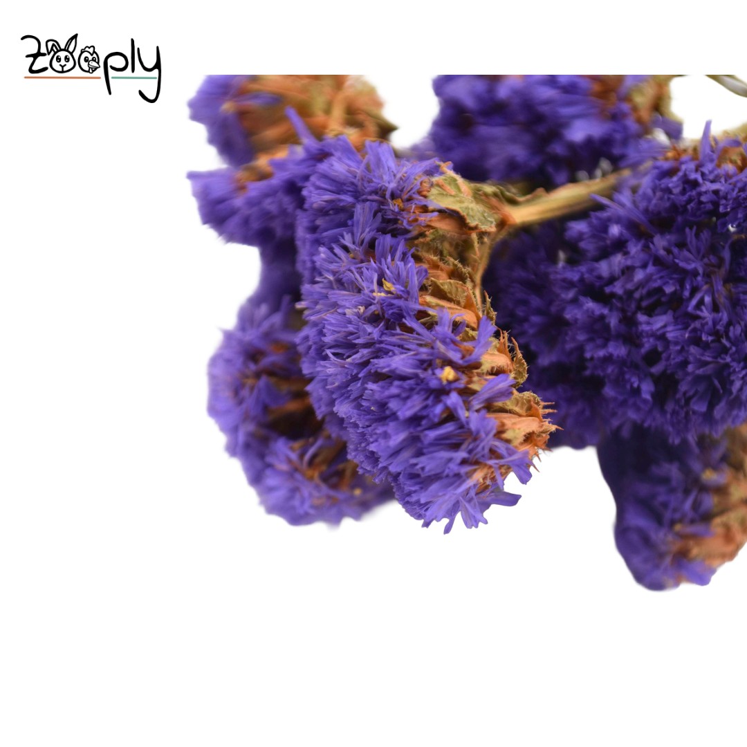 Zooply strandlavendel donker violet – gedroogde bloemen en grassen voor hamsters en andere knaagdieren – 70 gram