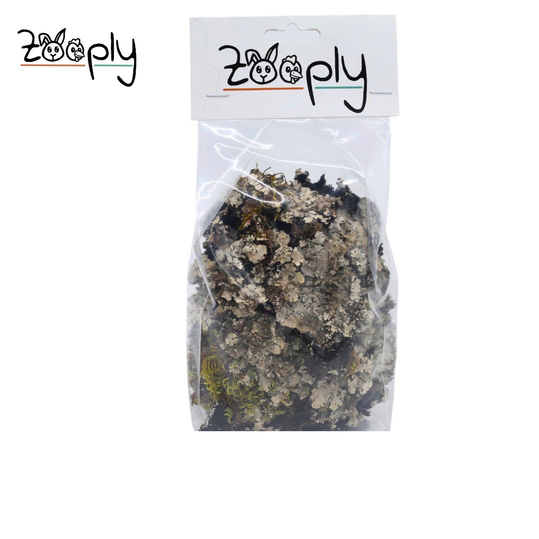 Zooply steenmos – gedroogd mos voor knaagdieren, perfect voor scaping – 75 gram